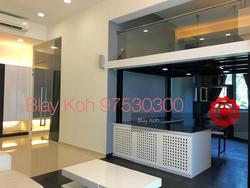 Astor Green (D21), Condominium #121111032